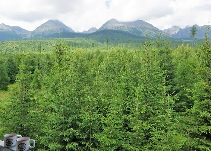 No.35 Lejlighed Vysoké Tatry